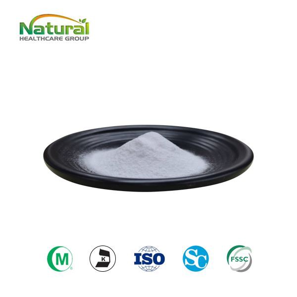 Gevriesdroogd Aloë Vera Poeder