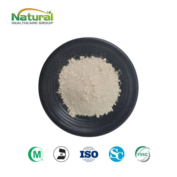 Hydroxycitric zuur 60% poeder