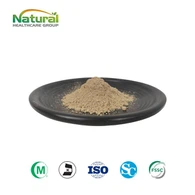 Magnolia Bark Extract Poeder 98 procent Magnolol