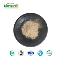 Magnoliaschors extract poeder