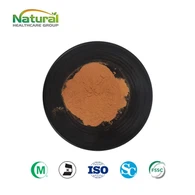 Goudsbloem Extract Poeder