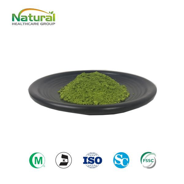 Biologische Matcha Groene Thee Poeder