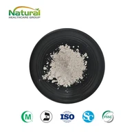 Salix Alba Extract Poeder Salicine 98%