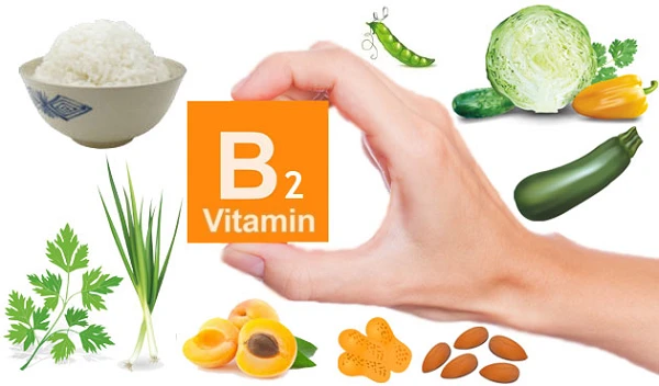 Kan vitamine B2 voor een lange tijd worden ingenomen?