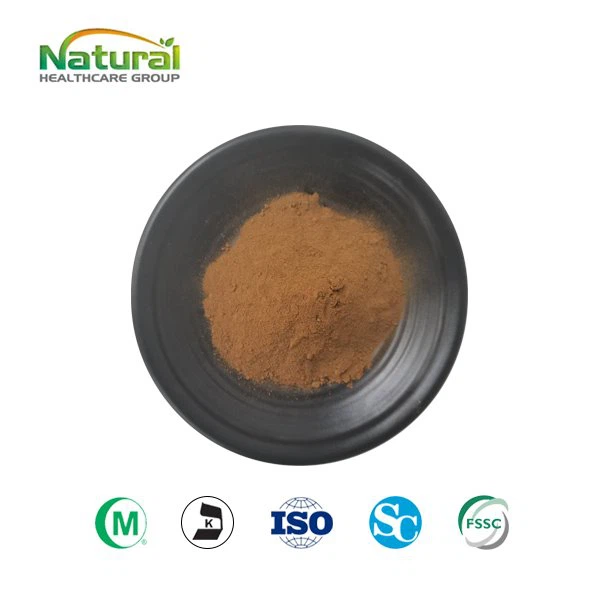 Schisandra Extract Poeder