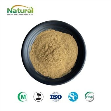 Saffraan Extract Poeder
